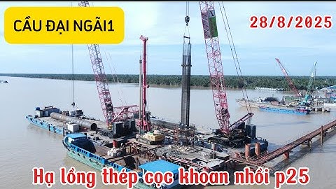 Hạ lồng thép cọ khoan nhồi trụ p25 cầu ĐẠI NGÃI 1!thi công quá nhanh