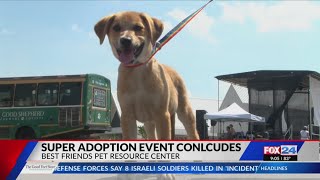 Around 200 pets adopted at Best Friends Animal Society 'Super Adoption' event