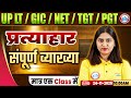 UP LT Grade/GIC/NET Sanskrit Class 2025 | प्रत्याहार | UP TGT/PGT Sanskrit MCQs