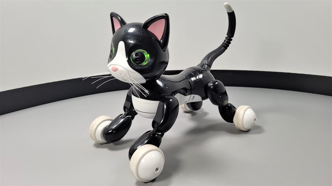 robo kitty toy