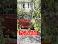 Effective Photo Documentation for Damage Analysis