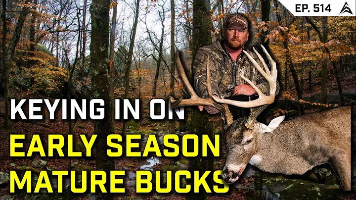 How To Hunt Bucks In The Early Season (Tips From an Expert)