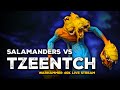SALAMANDERS VS TZEENTCH DAEMONS | WARHAMMER 40K BATTLE REPORT