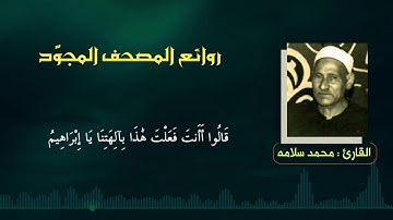 القارئ | محمد سلامة
