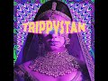 Trippystan  prod by zoh  trippy music 2017