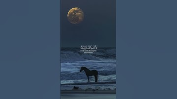 وإذ قلنا للملائكة اسجدوا لأدم فسجدوا #قرآن #للقارئ #ياسرالدوسري #قران_كريم #قرآن_كريم