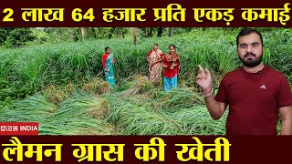 2.50 लाख से ज़्यादा कमाएं Per Acre | Lemon grass Farming | Medicinal plant | New agriculture