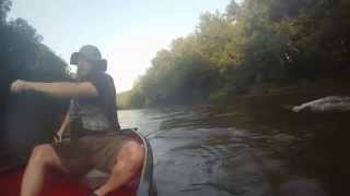 Clarion River Rapids 2 July 2015