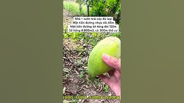 Bán gấp nhà vườn siêu đẹp Đồng Nai