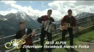 Video thumbnail of "Trio Alpin - Zillertaler Steinbock Marsch Polka"