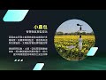 延電科技簡介-延電科技專注於戶外物聯網技術應用,致力於提供穩定、耐用且高效的智能解決方案!