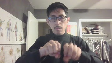 Expressive Video Assignment # 4