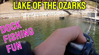 Late April Bassin' | Lake of the Ozarks