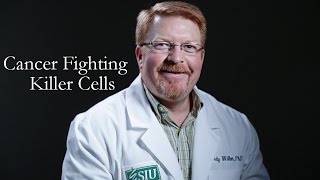 Cancer Fighting Killer Cells - Andrew Wilber PhD research SIU SOM