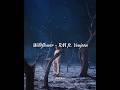 Wildflower - RM (ft.youjeen) | english lyrics