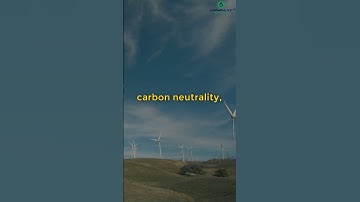 Is there a difference between net zero and carbon neutrality? #shorts #fact
