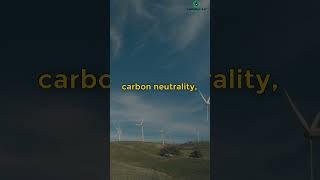 Is there a difference between net zero and carbon neutrality? #shorts #fact