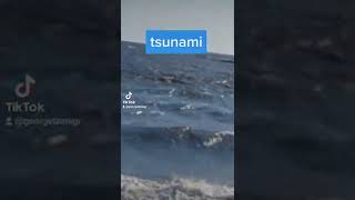 tsunami