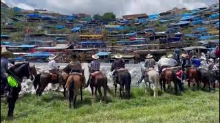 Ayotlán Jalisco 2022 Día de Campo