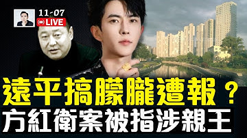 緊急關注‼️中國大量人口正離奇銷施！包含很多青少年；方紅衛案涉習家，跟習遠平都有關係｜大宇拍案驚奇 live！