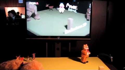 FOR-A, Augmented Reality Visualization