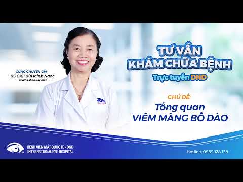 Video: Viêm Mắt (viêm Màng Bồ đào Trước) ở Chó