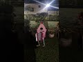 trem doido #funny #viral_video #trem #shortviral #shortvideo #shorts #shor #shirt #humor