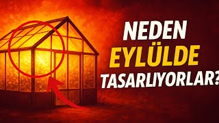Akıllı Bahçıvanlar Seralarını Neden Eylülde Tasarlar? Adan Zye Kapsamlı Bir Plan.