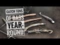 Top 4 rigs for catching numbers of bass year-round!