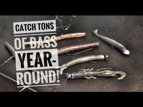 Top 4 rigs for catching numbers of bass year-round! 