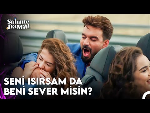 Mehmet'in Tatlı Belası - Şahane Damat 7. Bölüm