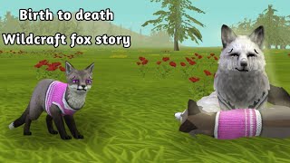 Birth To Death (Wildcraft fox Story) Desc)