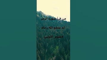 من قرأ سورة الزمر لم يقطع الله رجاه🙏  #قرآن #اكسبلور #راحة_نفسية #لايك #اكسبلور