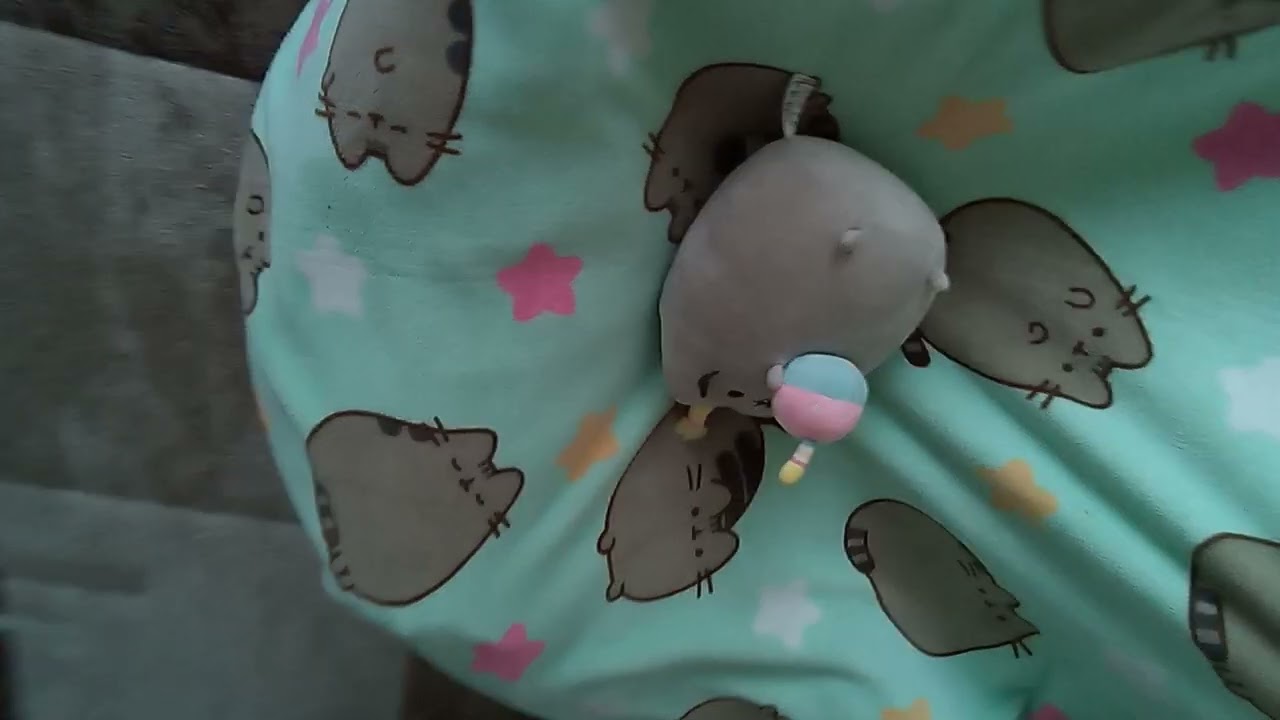 How to take care of your Pusheen plush!