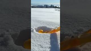 Famous This little guy turned out so perfect 😭❤️ Net Worth