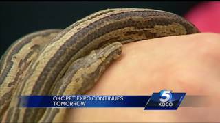 Animals eager to go outside to enjoy Oklahoma City Pet Expo