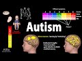 Autism spectrum animation