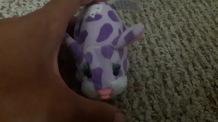 Zhu Zhu Pets Wild-Bunch Reviews| Heidi |RyderReneg...