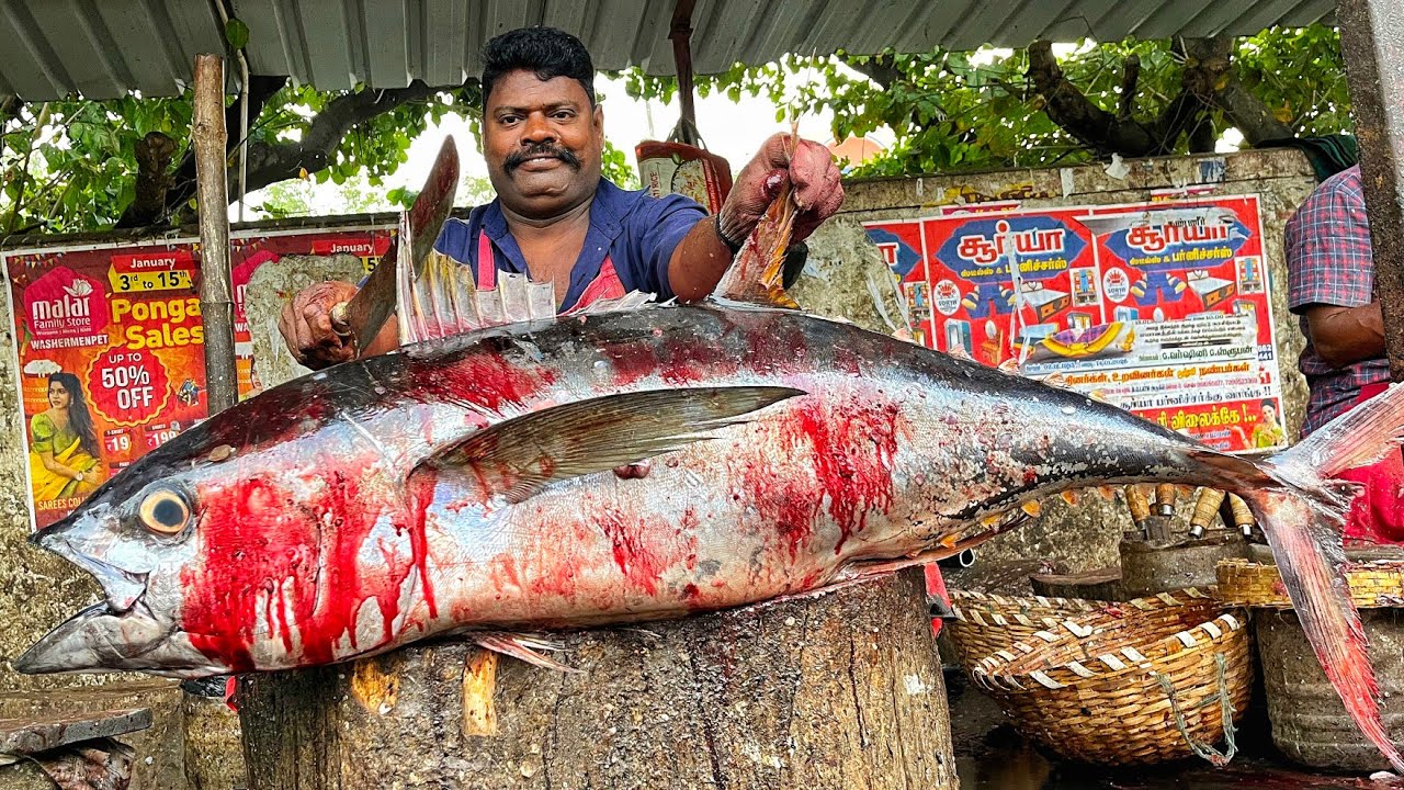 KASIMEDU 🔥 SPEED SELVAM | GIANT TUNA FISH CUTTING VIDEO | 4K VIDEO | KM FISH CUTTING | IN KASIMEDU 