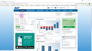 SRP Usage History Download
