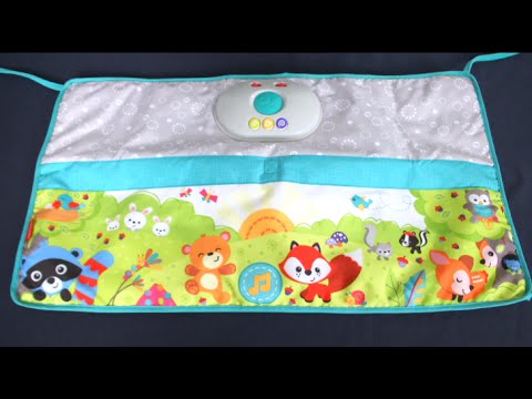 fisher price cot soother