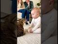 初めて猫に文句を言われた赤ちゃん、どうしていいか分からず固まってしまう。。。#cat #cats #baby #cute #funny #shorts #catvideos #赤ちゃん #猫