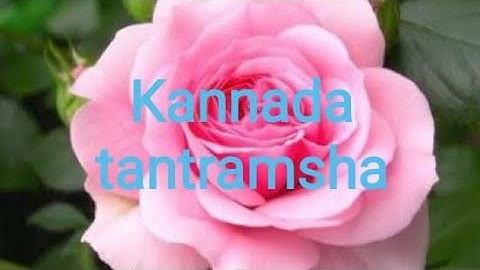 Talk Back Special Trick, Works With ETI Eloquence and Vocalizer, Change the Apps Name, Gatak Singh.