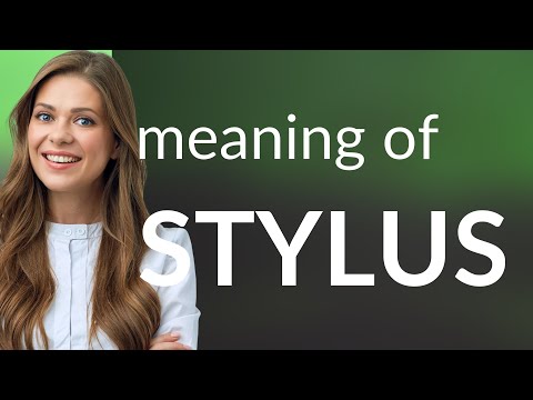 Video: Qual è la definizione di stylus?