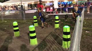 IPS Interactive Cones Rental