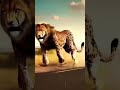 The strange lion of Africa , Shorts