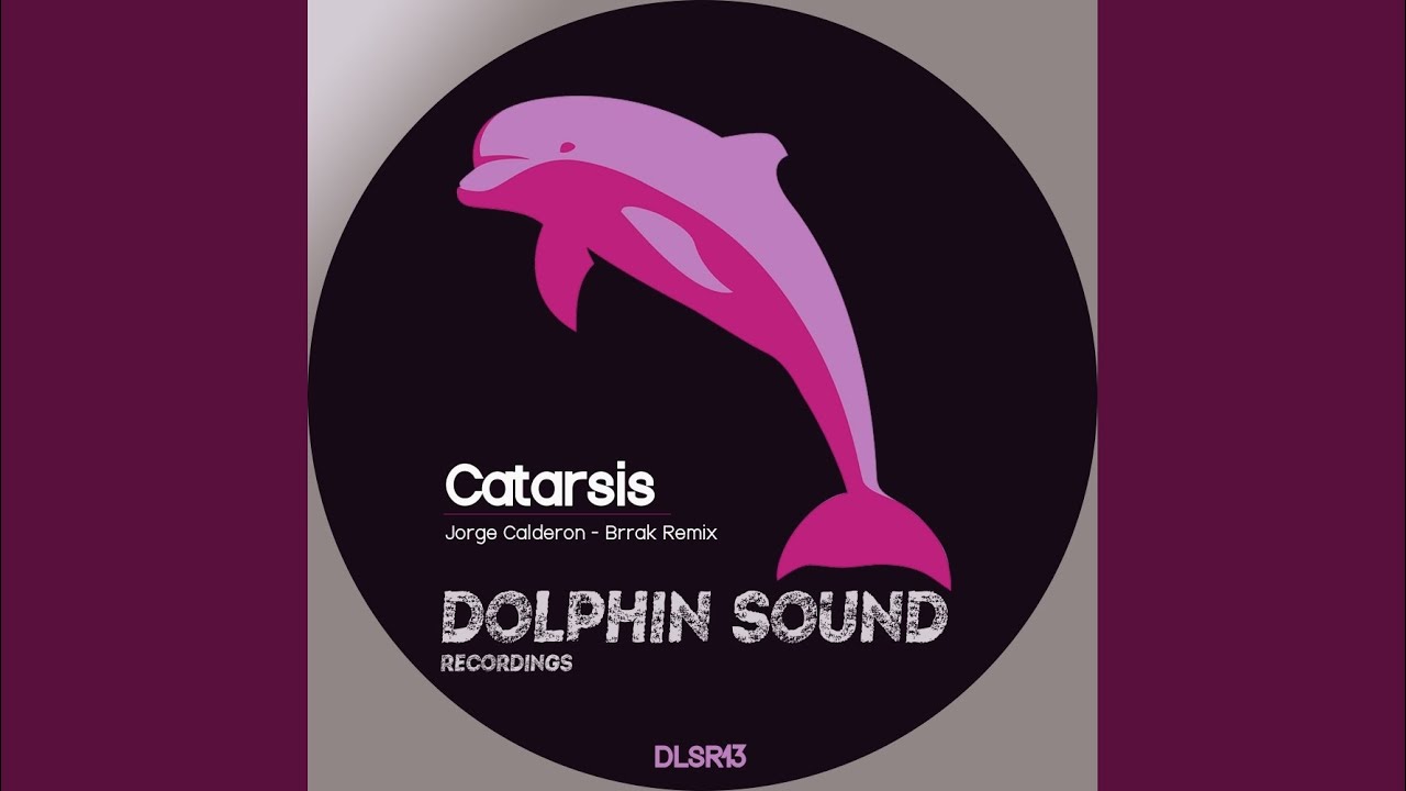 2001 - dolphin - любимые песни фанатов дельфина. Обложка песни dolphin. Фонтанчик с чёрным дельфином ремикс. Слушать ремиксы дельфина. Песня про дельфинов.
