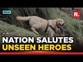 Brave Indian Army Dog 'Kent' Sacrifices Life to Save Soldier