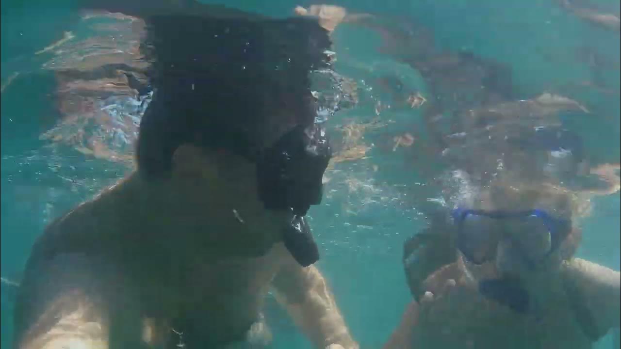 сочи лазаревское пляж. море крым зима. черное море. берег черного моря. черное море сейчас.