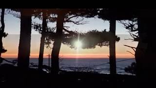 3516 SW Fernwood Ln, Waldport, OR 97394 - INCREDIBLE PACIFIC OCEAN VIEWS & SUNSETS! 3516 SW Fernwood Ln, Waldport, OR 97394 - INCREDIBLE PACIFIC OCEAN VIEWS & SUNSETS!